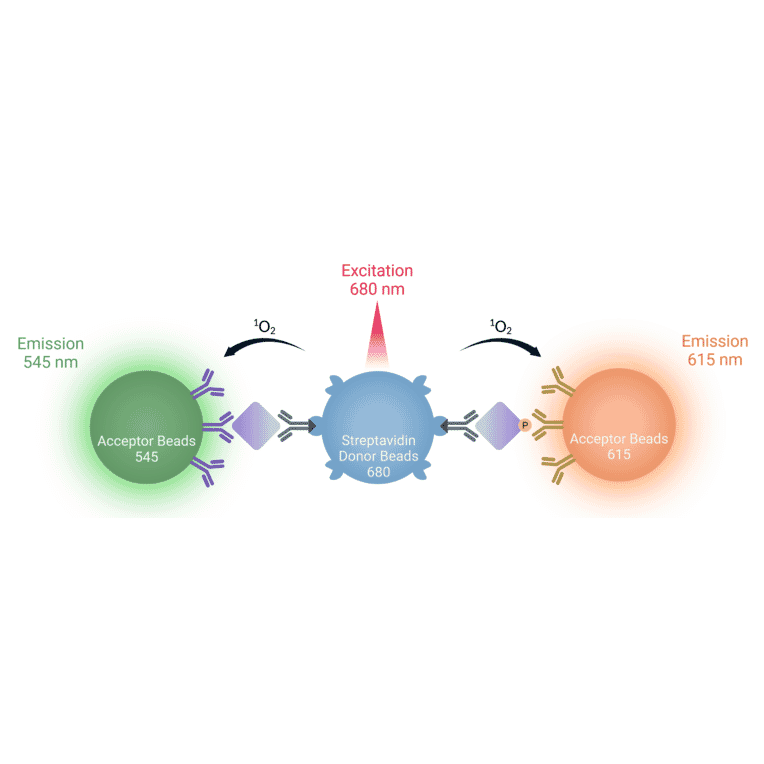 Multiplexed Luminescent Proximity Assays Diagram - Streptavidin Acceptor Beads 545 (A334444) - Antibodies.com