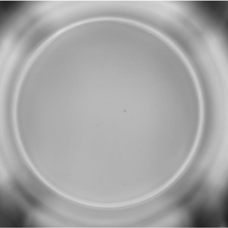 ELISpot - Human IFN gamma ELISpot Kit (A334653) - Antibodies.com