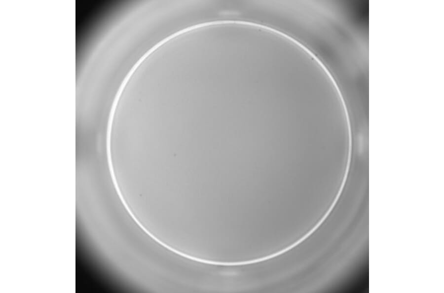 ELISpot - Human IL-2 ELISpot Kit (A334655) - Antibodies.com