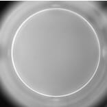 ELISpot - Human IL-2 ELISpot Kit (A334655) - Antibodies.com