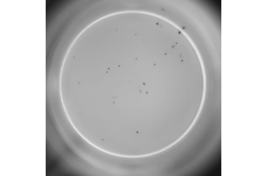 ELISpot - Human IL-4 ELISpot Kit (A334656) - Antibodies.com
