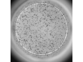 ELISpot - Human IL-10 ELISpot Kit (A334657) - Antibodies.com