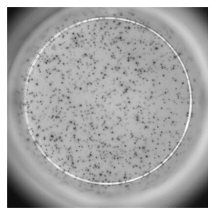 ELISpot - Human IL-10 ELISpot Kit (A334657) - Antibodies.com