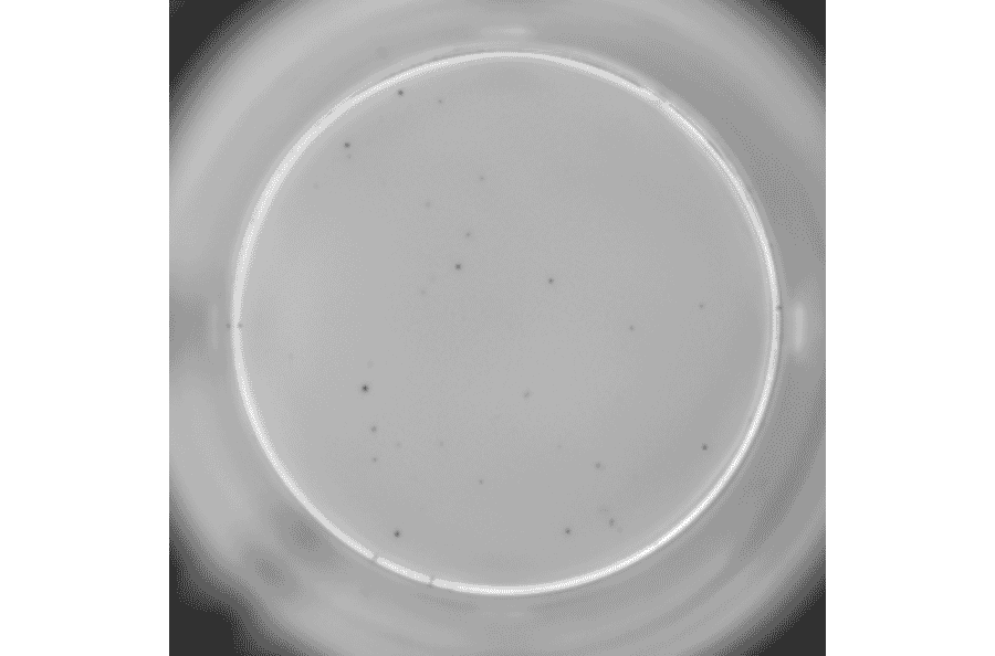 ELISpot - Human IL-10 ELISpot Kit (A334657) - Antibodies.com