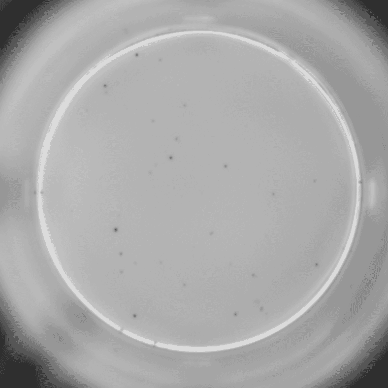 ELISpot - Human IL-10 ELISpot Kit (A334657) - Antibodies.com