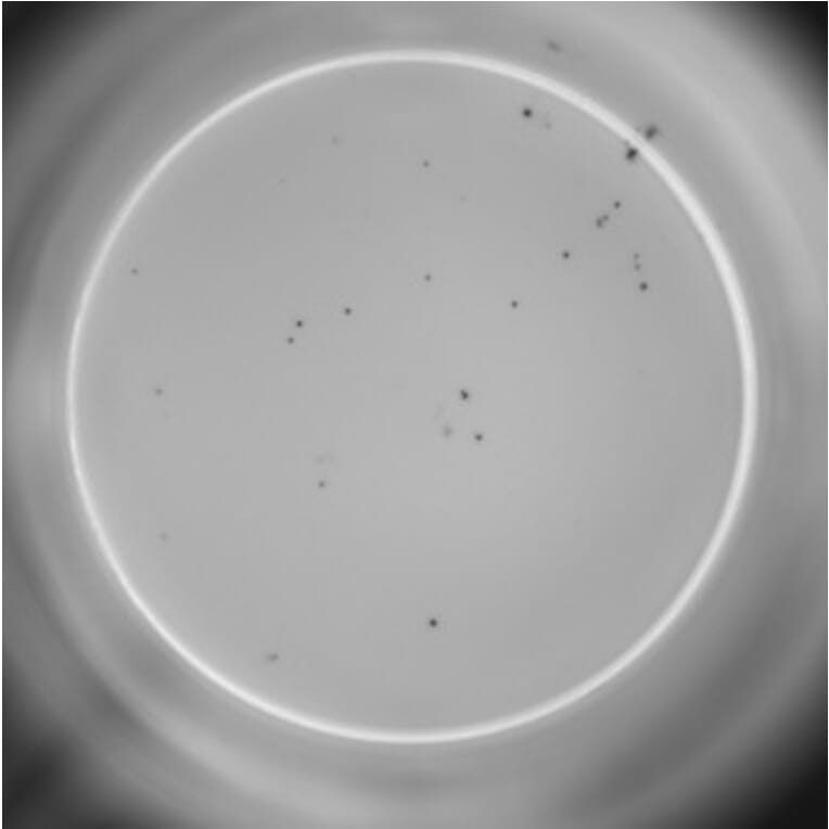ELISpot - Mouse IL-4 ELISpot Kit (A334662) - Antibodies.com
