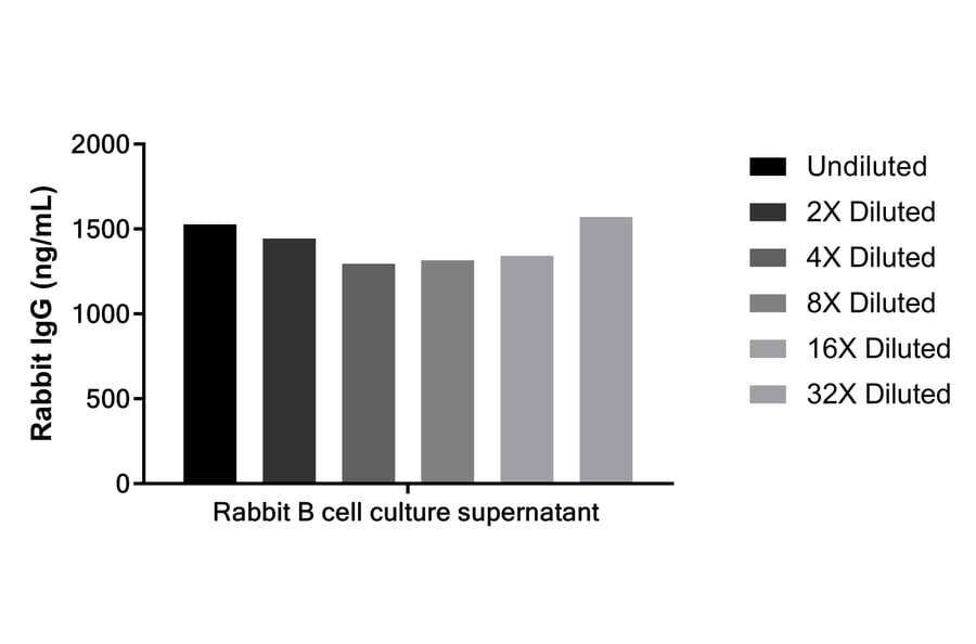 ELISA - Rabbit IgG ELISA Kit (A334777)- Antibodies.com