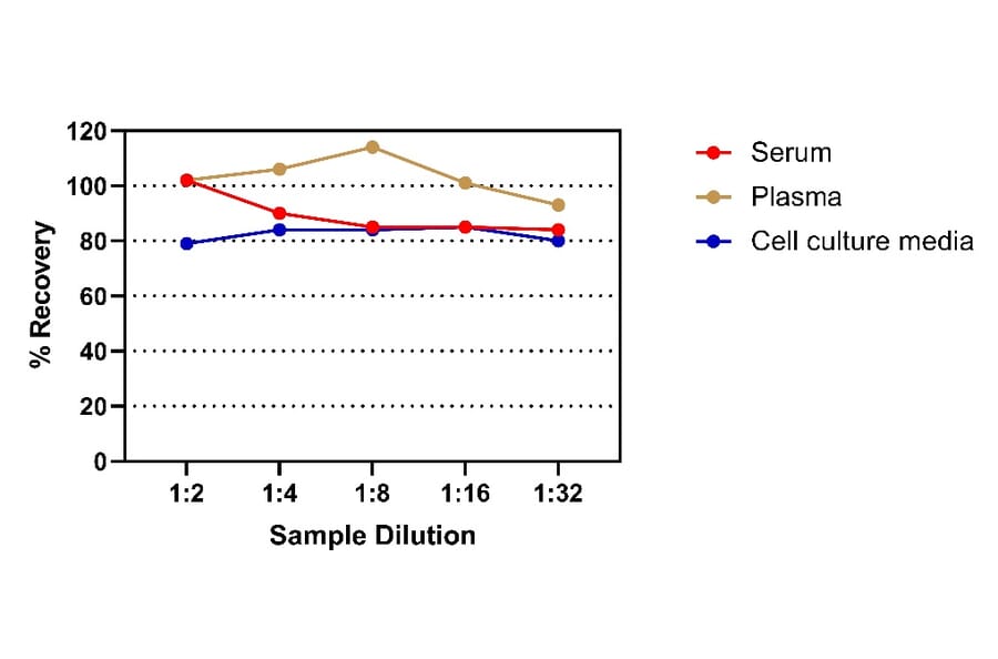 ELISA - Human IFN gamma ELISA Kit (A334781)- Antibodies.com