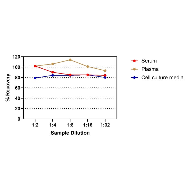 ELISA - Human IFN gamma ELISA Kit (A334781)- Antibodies.com