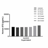 ELISA - Human ST2 ELISA Kit (A334785)- Antibodies.com