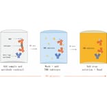 ELISA - Human IL-15 ELISA Kit (A334790)- Antibodies.com