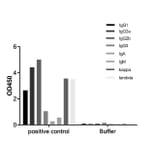 ELISA - Mouse Ig ELISA Kit (A334791) - Antibodies.com