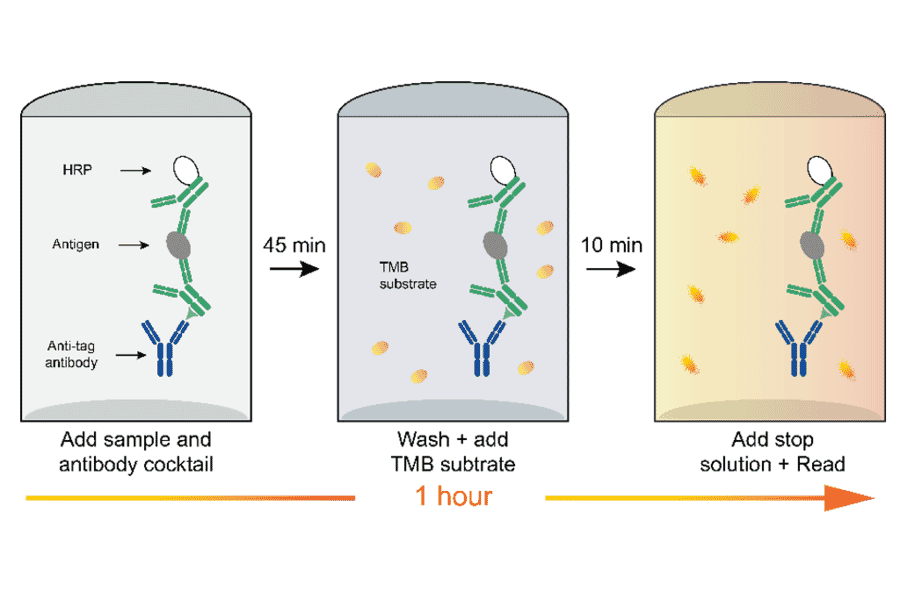 ELISA - Human IFN alpha ELISA Kit (A334793)- Antibodies.com