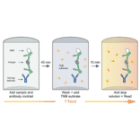 ELISA - Human IFN alpha ELISA Kit (A334793)- Antibodies.com