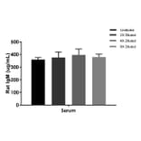 ELISA - Rat IgM ELISA Kit (A334802)- Antibodies.com