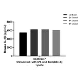 ELISA - Mouse IL-1 beta ELISA Kit (A334804)- Antibodies.com