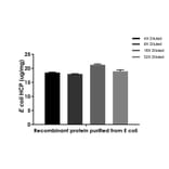 ELISA - E. coli Host Cell Proteins ELISA Kit (A334806)- Antibodies.com