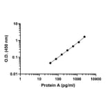 ELISA - Staphylococcus aureus Protein A ELISA Kit (A334807)- Antibodies.com