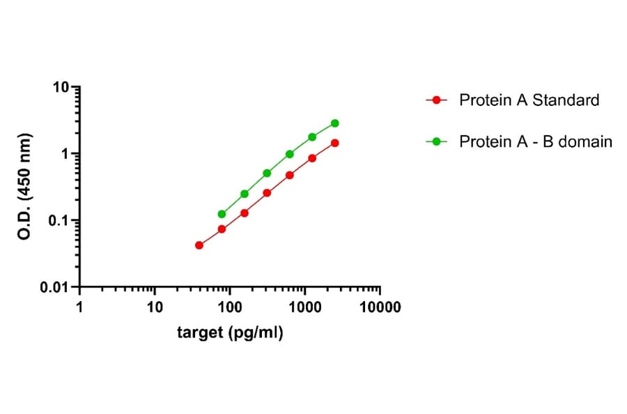 ELISA - Staphylococcus aureus Protein A ELISA Kit (A334807)- Antibodies.com