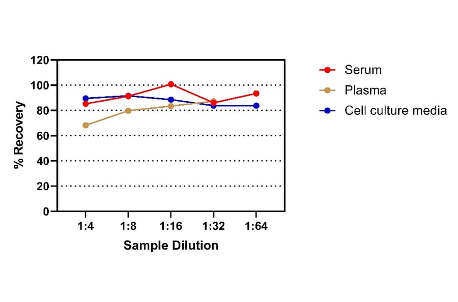 ELISA - Rat IgE ELISA Kit (A334811)- Antibodies.com