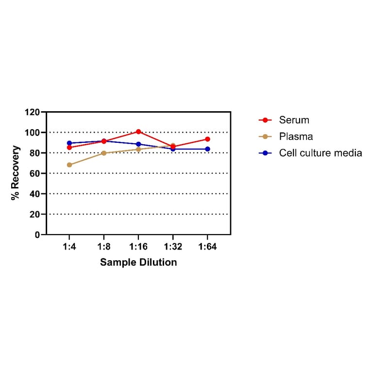 ELISA - Rat IgE ELISA Kit (A334811)- Antibodies.com