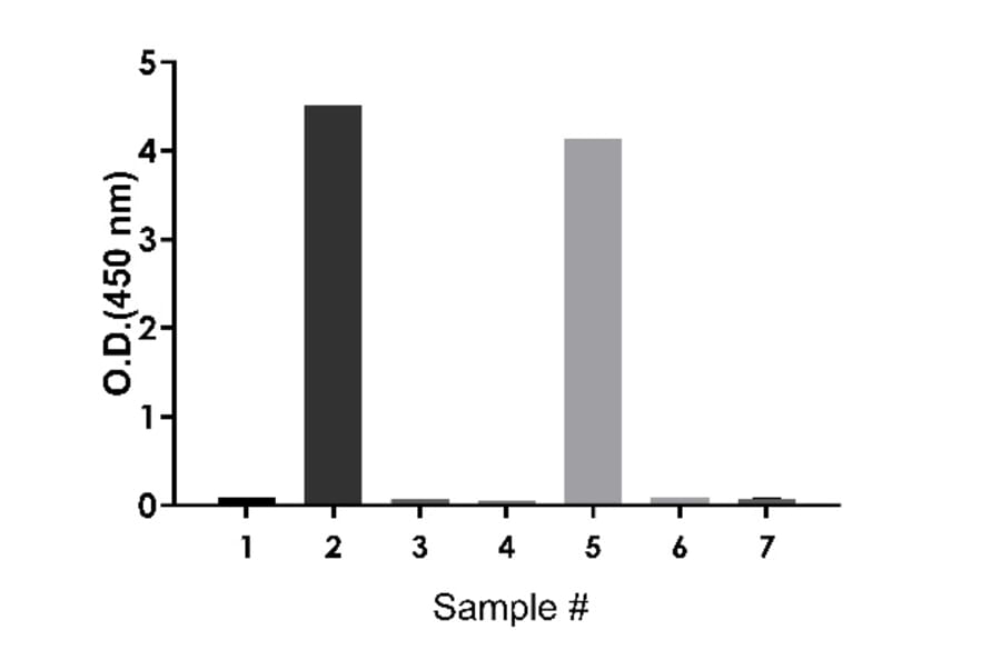 ELISA - Rat IgE ELISA Kit (A334811)- Antibodies.com
