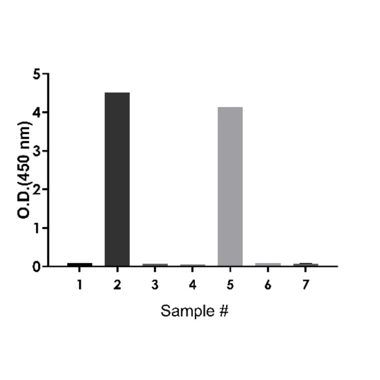 ELISA - Rat IgE ELISA Kit (A334811)- Antibodies.com