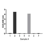 ELISA - Rat IgE ELISA Kit (A334811)- Antibodies.com
