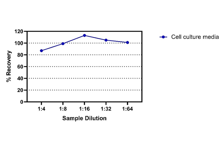 ELISA - Rat IgA ELISA Kit (A334812)- Antibodies.com