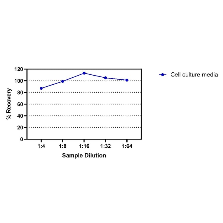 ELISA - Rat IgA ELISA Kit (A334812)- Antibodies.com