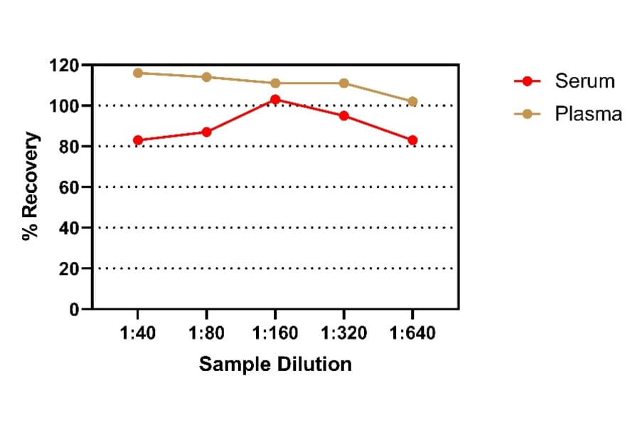 ELISA - Rat IgA ELISA Kit (A334812)- Antibodies.com