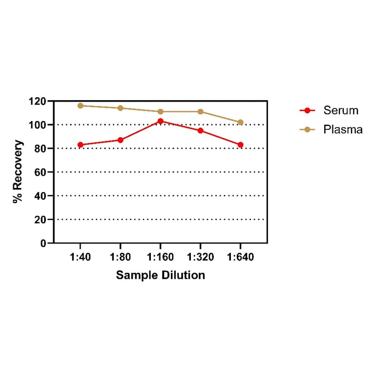 ELISA - Rat IgA ELISA Kit (A334812)- Antibodies.com
