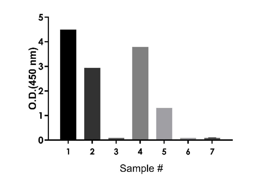 ELISA - Rat IgA ELISA Kit (A334812)- Antibodies.com