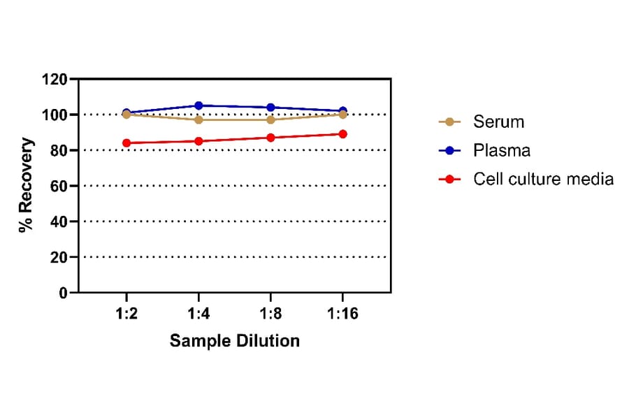 ELISA - Human IFN gamma ELISA Kit (A334813)- Antibodies.com
