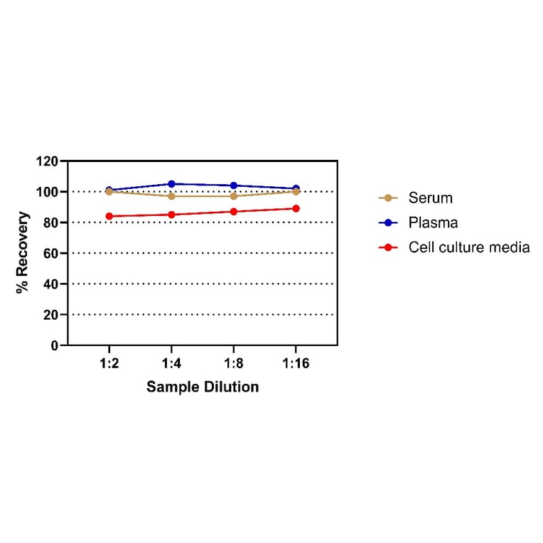 ELISA - Human IFN gamma ELISA Kit (A334813)- Antibodies.com