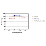 ELISA - Human IFN gamma ELISA Kit (A334813)- Antibodies.com