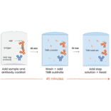 ELISA - Human IFN gamma ELISA Kit (A334813)- Antibodies.com