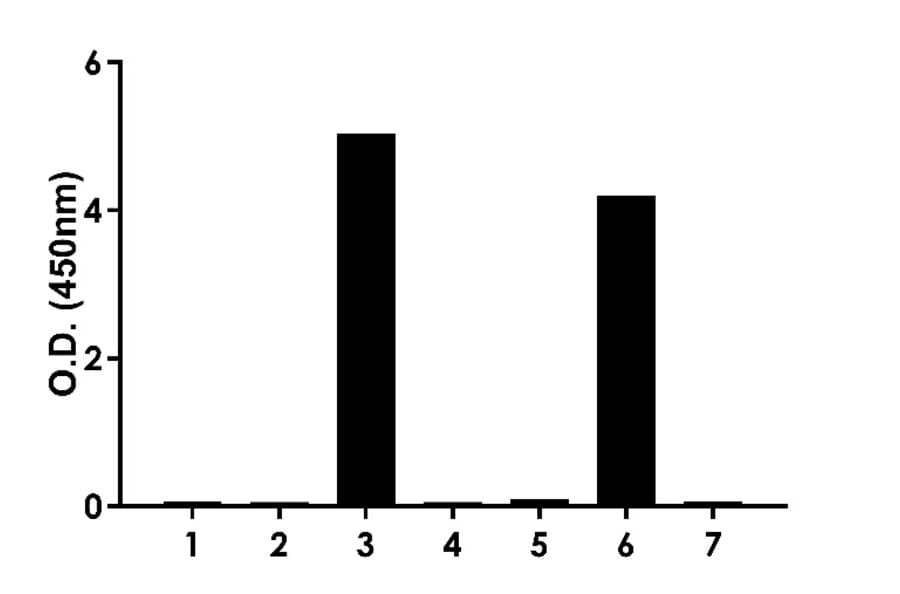ELISA - Human IgE ELISA Kit (A334815)- Antibodies.com