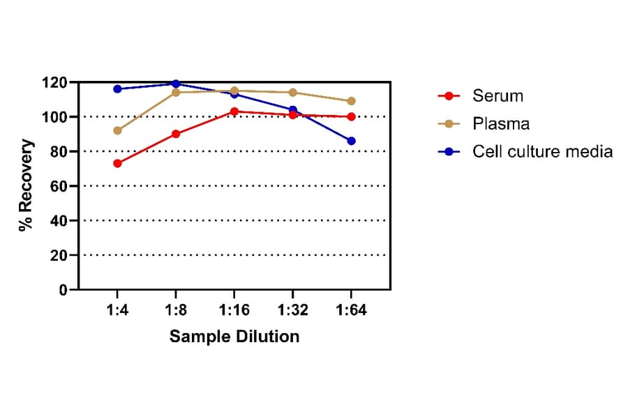 ELISA - Human IgE ELISA Kit (A334815)- Antibodies.com