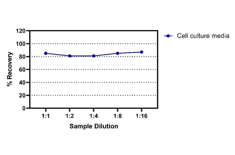 ELISA - Human IgA ELISA Kit (A334816)- Antibodies.com