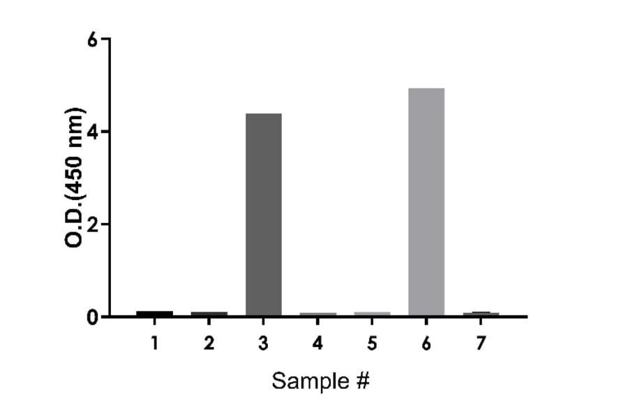 ELISA - Human IgA ELISA Kit (A334816)- Antibodies.com