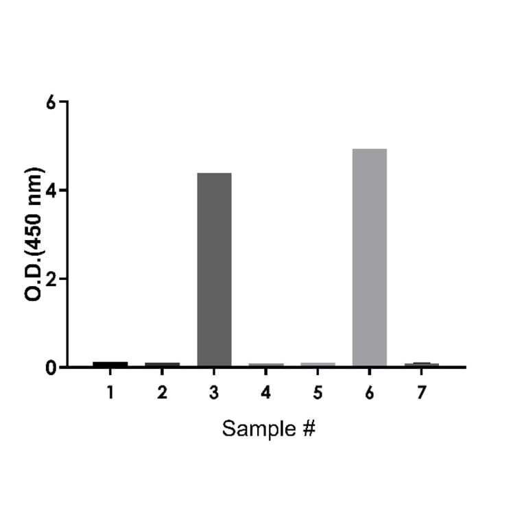 ELISA - Human IgA ELISA Kit (A334816)- Antibodies.com