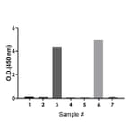 ELISA - Human IgA ELISA Kit (A334816)- Antibodies.com