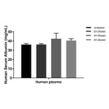 ELISA - Human Serum Albumin ELISA Kit (A334817)- Antibodies.com