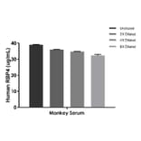 ELISA - Human, Monkey RBP4 ELISA Kit (A334818)- Antibodies.com