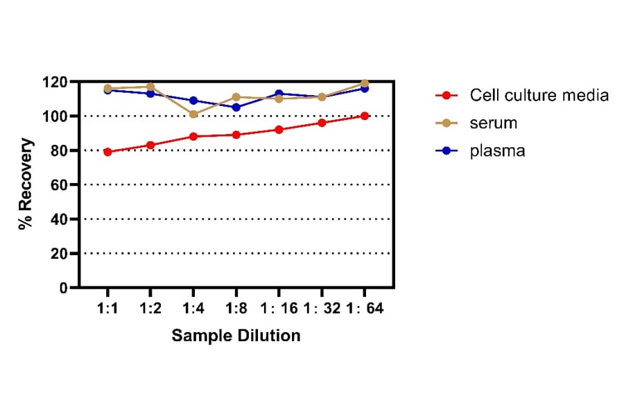 ELISA - Human IL-4 ELISA Kit (A334820)- Antibodies.com