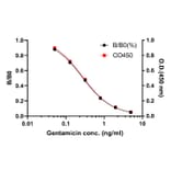 ELISA - Gentamicin ELISA Kit (A334821) - Antibodies.com