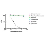 ELISA - Gentamicin ELISA Kit (A334821) - Antibodies.com