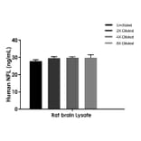 ELISA - Human, Mouse, Rat NF-L ELISA Kit (A334822)- Antibodies.com