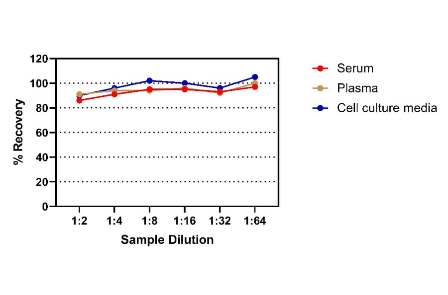 ELISA - Human IL-10 ELISA Kit (A334823)- Antibodies.com